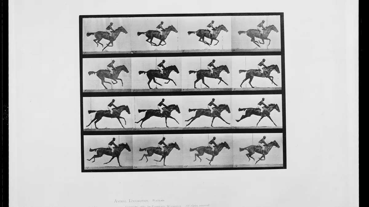 A mounted plate of sixteen photographs in four rows, each frame showing the same horse and rider at a different moment of a gallop.
