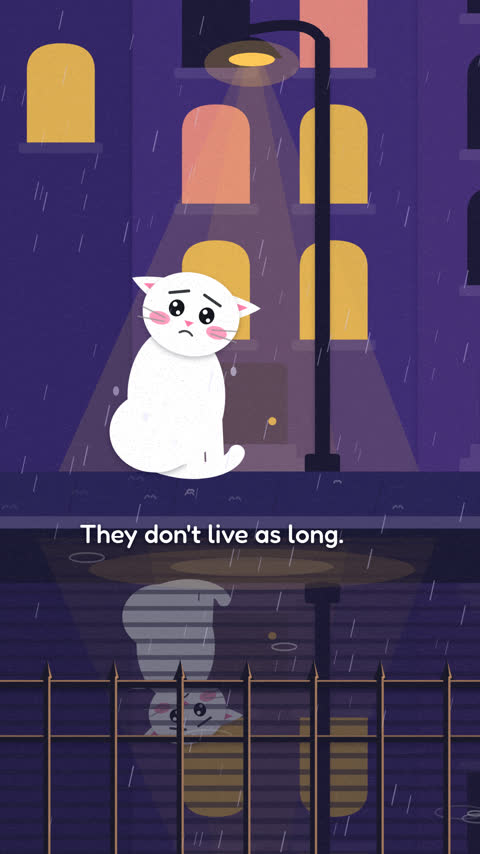 the film "Homeless cats need a home and why", the final