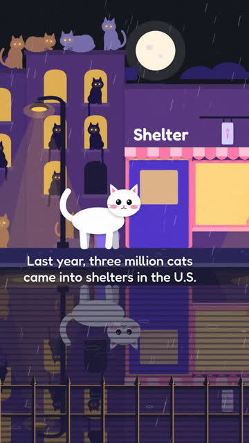 Pip on a street full of cats, next to a shelter